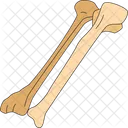 Bone  Icon