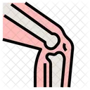 Bone Examination Health Medical Icon