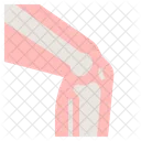 Bone Examination  Icon