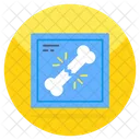 Bone X Ray  Icon