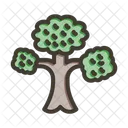 Bonsai Tree Nature Icon