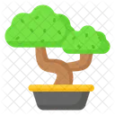 Bonsai  Icon