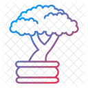 Bonsai  Icon