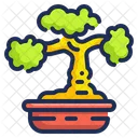 Bonsai Plant  Icon