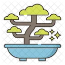 Bonsai Plant  Icon