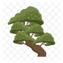 Bonsai Icon