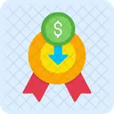 Bonus depreciation  Icon