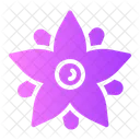 Borage  Icon