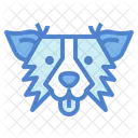 Border Collie Dog  Icon