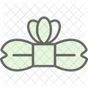 Bow Bow Tie Groom Icon