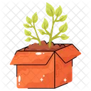 Box Plant  Icon