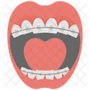 Braces  Icon