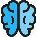 Brain  Icon