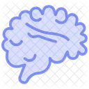 Brain  Icon