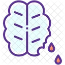 Brain  Icon