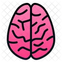 Brain  Icon