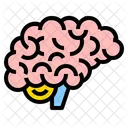 Brain  Icon