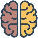 Brain  Icon