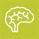 Brain  Icon