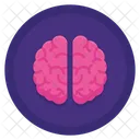 Brain  Icon