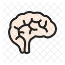 Brain  Icon