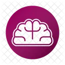 Brain Study Education Icon