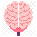 Brain  Icon