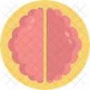 Brain  Icon