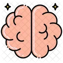 Brain  Icon