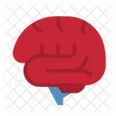 Brain  Icon