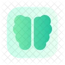 Brain  Icon