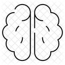 Brain Cerebrum Cerebellum Icône