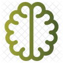 Brain  Icon