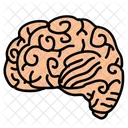 Brain  Icon