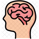 Brain System Anatomy Icon