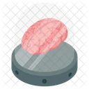 Brain  Icon