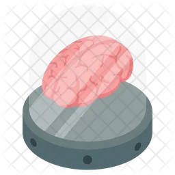 Brain  Icon