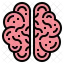 Brain  Icon