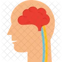 Brain  Icon