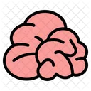 Brain  Icon