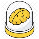 Brain  Icon