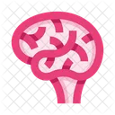 Brain  Icon