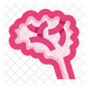 Brain  Icon