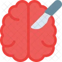 Brain  Icon