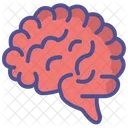 Brain  Icon