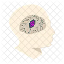 Brain  Icon