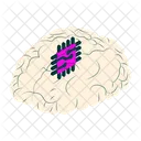 Brain  Icon