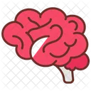 Brain Hind Brian Forebrain Icon