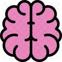 Brain  Icon