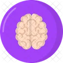 Brain  Icon